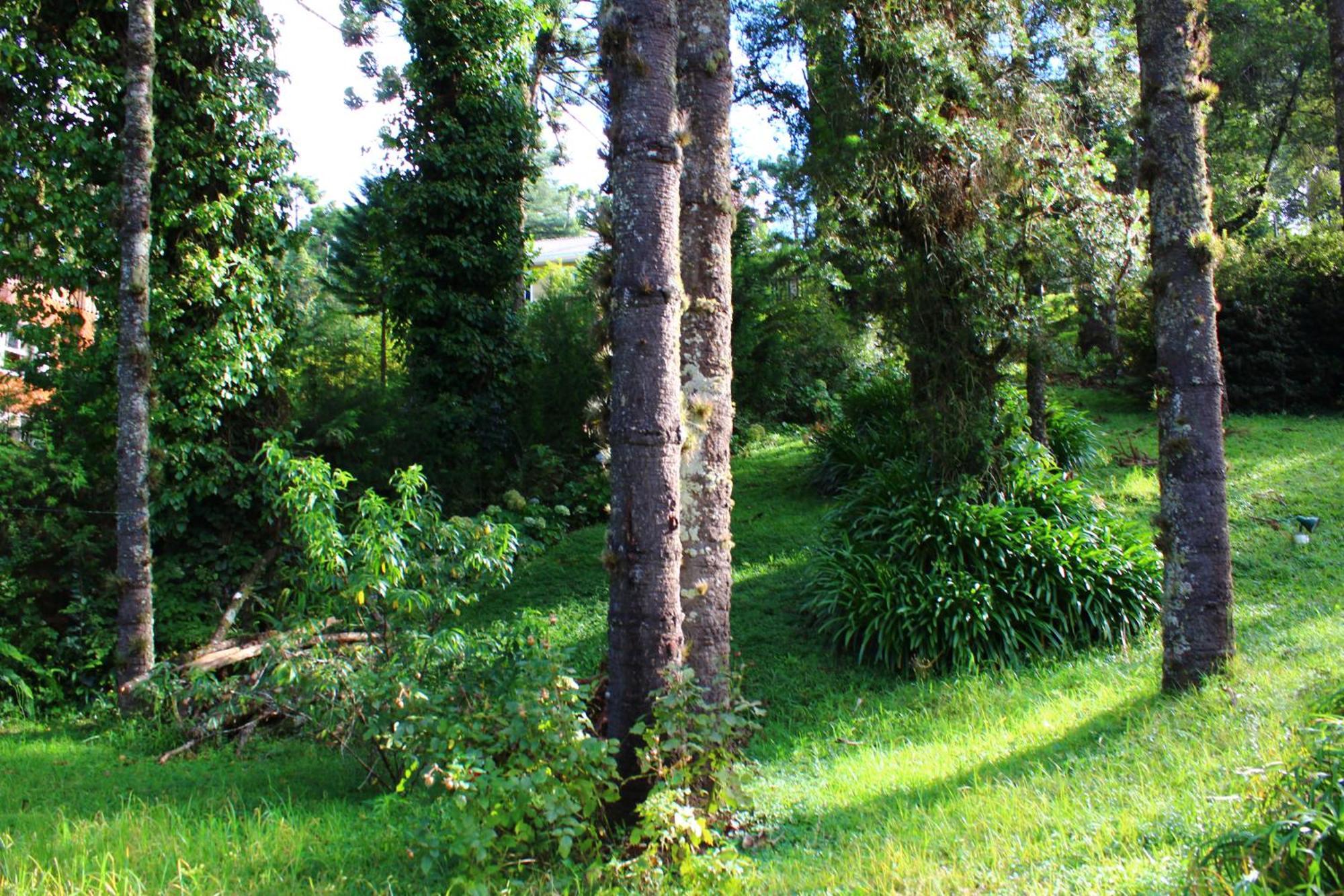 Chale Mon Amour 3 Campos do Jordão 外观 照片